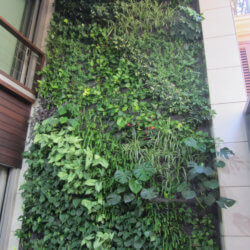 Villarreal disfruta de un jardín vertical diseñado por Ignacio Solano