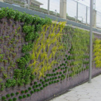 Ignacio Solano crea un nuevo jardín vertical en la localidad vizcaína de Berango