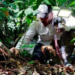 Ignacio Solano realiza una expedición a la selva de Panamá para descubrir nuevas especies