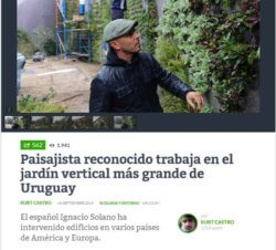 Ignacio Solano construye el jardín vertical más grande de Uruguay